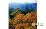 長沙往返張家界、天子山、寶峰湖/黃龍洞三日游