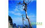 湘西之旅：張家界、天子山、寶峰湖/黃龍洞、鳳凰古城、猛洞河漂流、天門山六日游