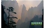 張家界國(guó)家森林公園、寶峰湖/黃龍洞、鳳凰古城、三峽八日游